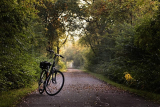Waarom Fietsen Het Beste Medicijn Is voor Je Lichaam en Geest